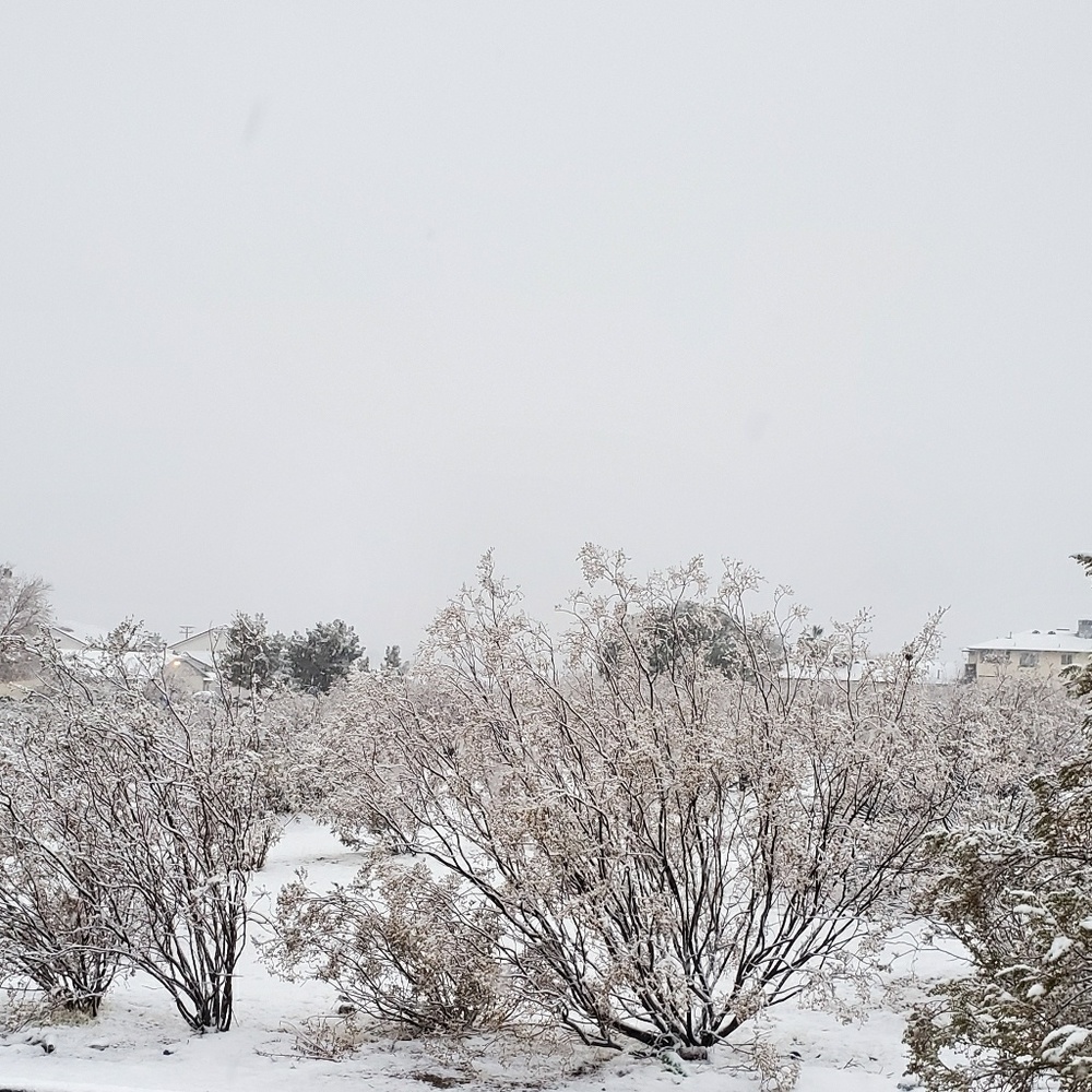 Meet your Posher, Tony